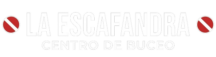 logoescatext-e1773979497532